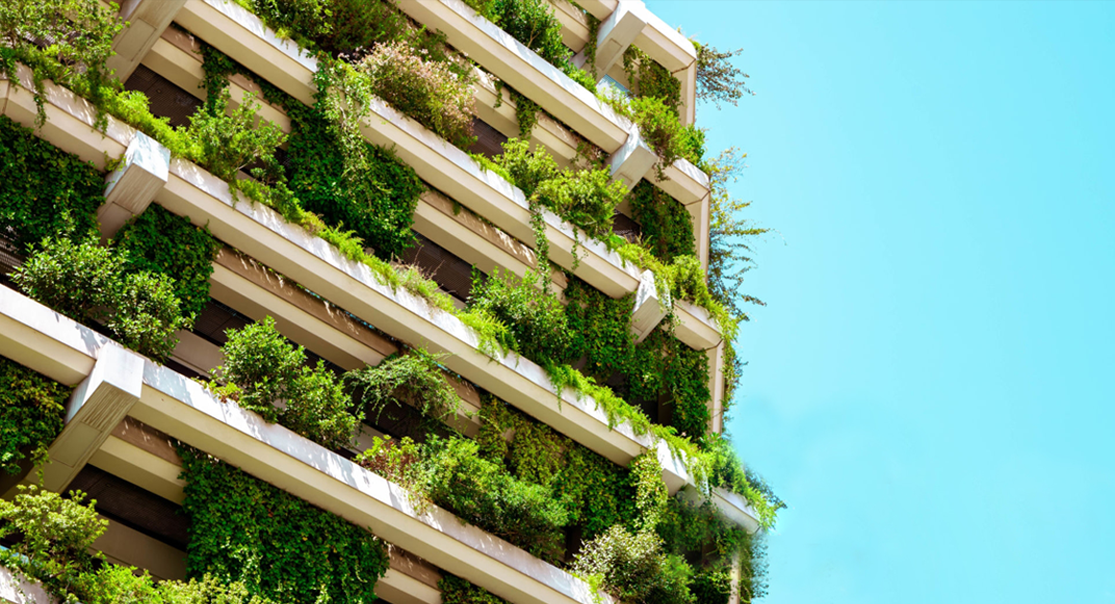 mba in sustainability management